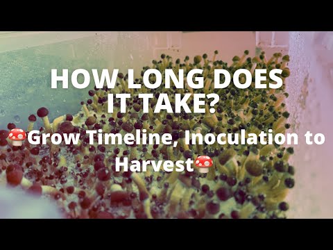 Video: How fast do mushrooms grow and what affects the growth rate?