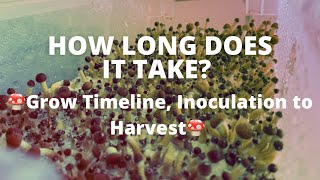 🍄 How Long Does it Take to Grow Mushrooms? 🍄 Most Accurate Timeline