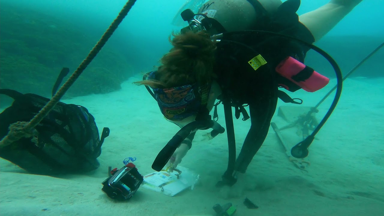 Field Work - Collecting and Preparing Coral Samples