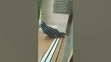 انا اتسيط وانت لا 