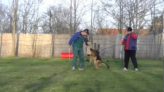 Max - bitework training (20 march 2013)
