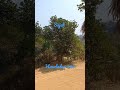 #shorts #viral #nature #viralvideo #travel #sajek #sajek_valley #socialmedia #markzuckerberg #tour