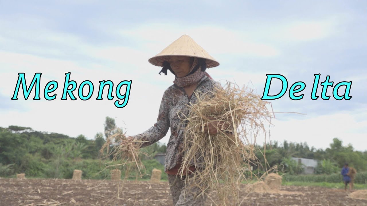 Жемчужный остров на реке Меконг и жизнь каждый день