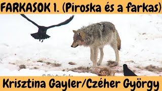 FARKASOK 1. rész  'Piroska és a Farkas'  beszélgetés Krisztina Gaylerrel és Czéher Györggyel!