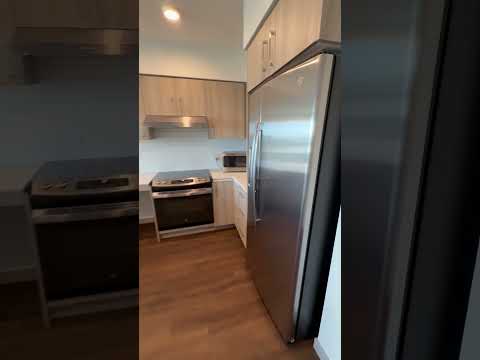 IMG 6804