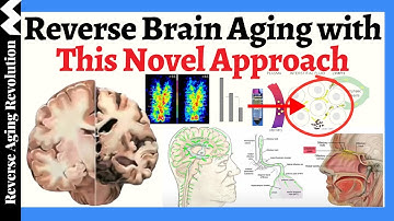 A NOVEL Approach To REVERSE Brain Aging & Alzheimer’s