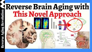 A NOVEL Approach To REVERSE Brain Aging \& Alzheimer’s