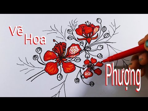 VẼ HOA PHƯỢNG MÙA HÈ Dễ NHẤT - ĐẸP NHẤT/How To Draw Phoenix ...