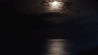 Patrick Wolf - Ghost Song 05/09/25 Minack Theatre Penzance Wind in the Wires 20th anniversary