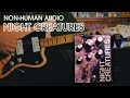 Non-Human Audio Night Creatures || Demo