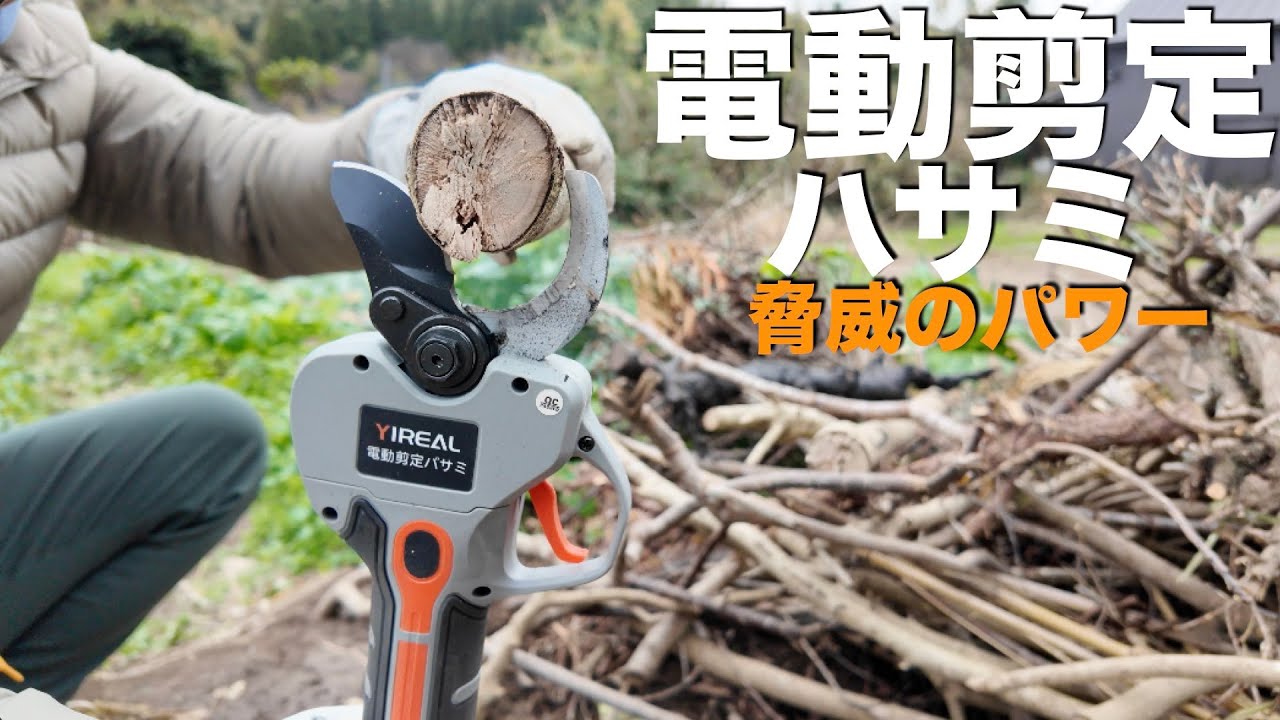 【電動剪定ハサミ】 脅威のパワーと作業効率的の高さ