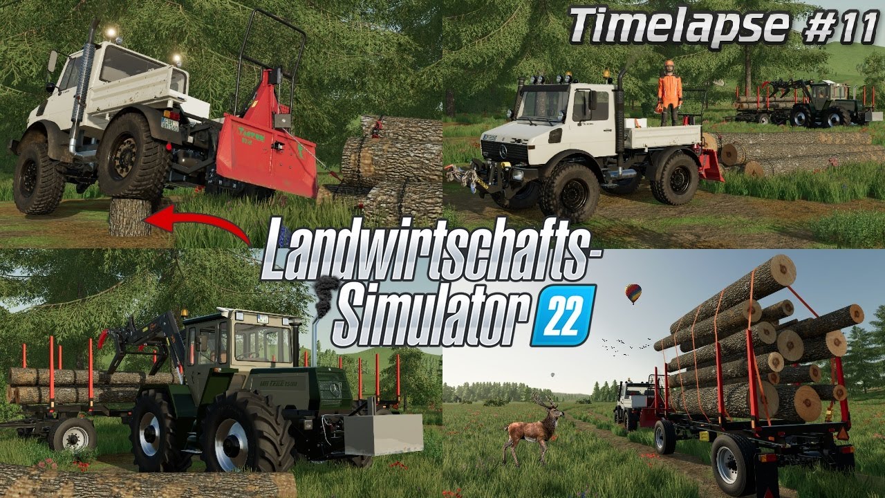 NEUE FORSTMASCHINEN mit @TheCamPeRYT! 🌲💪🤩 START der PALETTENPRODUKTION ...