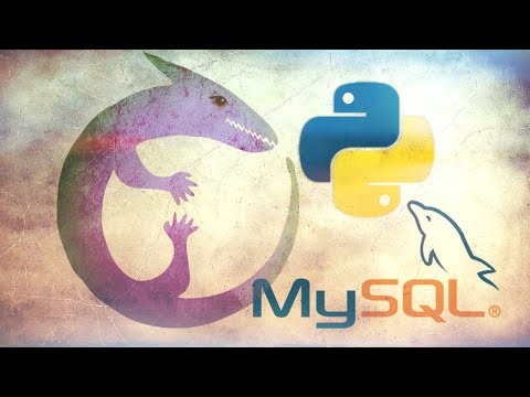Connect to MySQL with Python