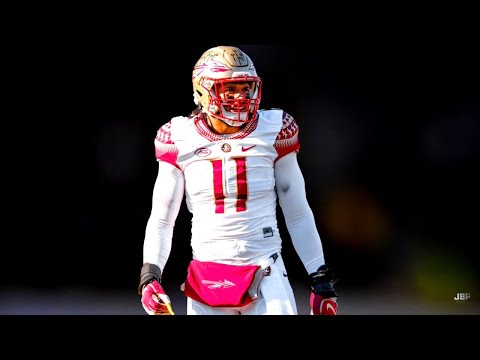 Florida State DE Jermaine Johnson 2021 Highlights 🍢 ᴴᴰ