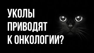 О Причинах И Лечении Рака У Кошек: Уколы, Корма, Отказ От Стерилизации И Другое