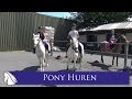 Tessa en tatum leasen 4 dagen een pony  hart voor paarden 