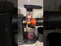 Can’t wait for summer time drinks #ninja #ninjajuicer #juicer #juice