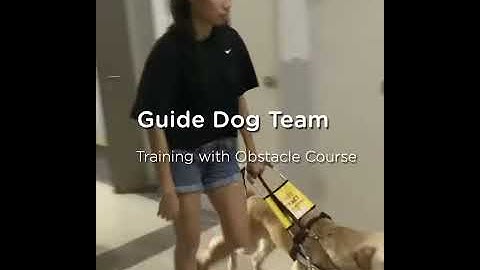 Sophie and her guide dog, Orinda