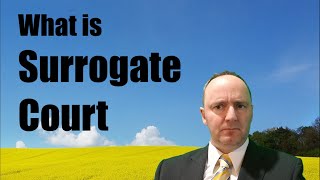 What is Surrogate Court and What Does It Do