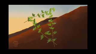 Divine Alignment| 528Hz Frequency for DNA Repair & Vitality | Soundscape
