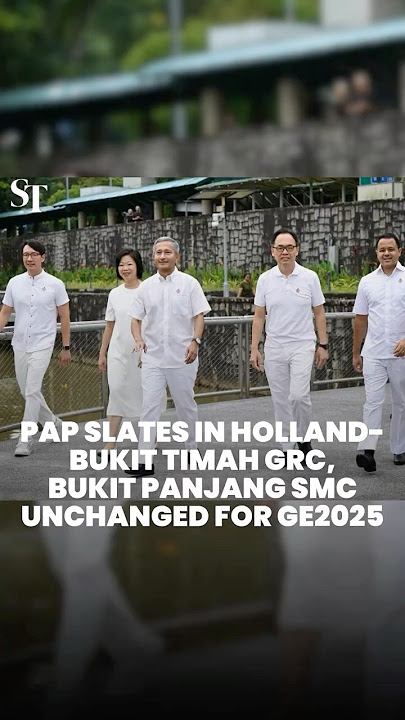 PAP slates in Holland-Bukit Timah GRC, Bukit Panjang SMC unchanged | GE2025