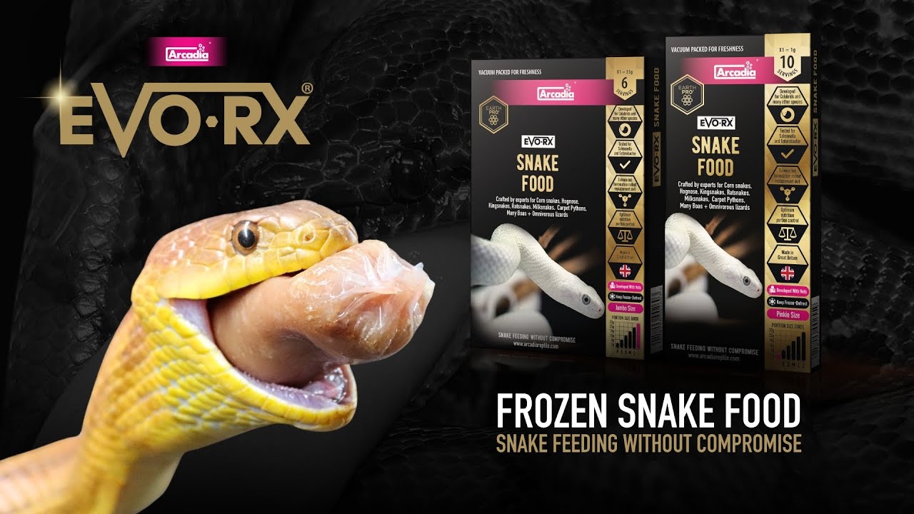 Introducing EvoRx, A Rodent Replacement Diet For Snakes!