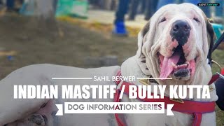 INDIAN MASTIFF : DOG INFORMATION SERIES || Episode_01