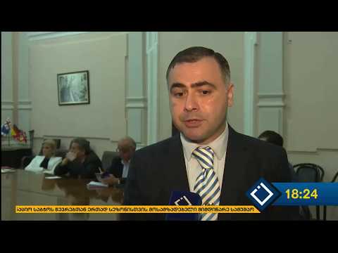 კახა გუჩმანიძე - მერის მრჩეველთა საბჭოს სხდომა (15 მაისი, 2019)