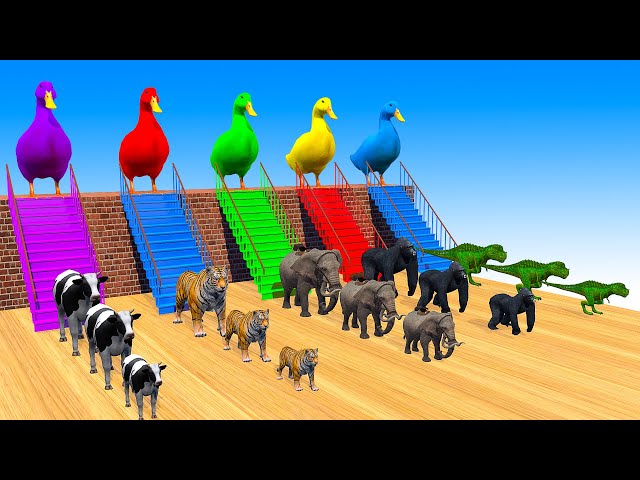 5 Giant Duck Cartoon,Tiger,Cow,rabbit,Gorilla,Dog,Cat,Dinosaur Wild Animals Crossing Fountain 2023 class=