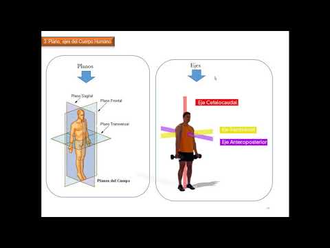 Vídeo: Biomecánica En Medicina - Es Hora De Cyborg? - Vista Alternativa