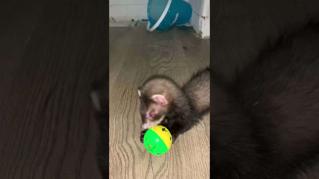 Those little noises 😍 