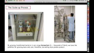 Intro to Biotechnology - Chapter 8 - Part 3 - After Cell Transformation