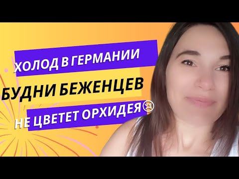 ВЛОГ☆Холод в Германии☆Ночной Бад Киссинген☆Не цветет орхидея