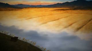 Soft Wind & Distant Birds for Study, Relaxation & Reading | Harvest Field | 8 Hours screenshot 5