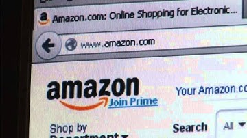 Everything You Need To Know About The 