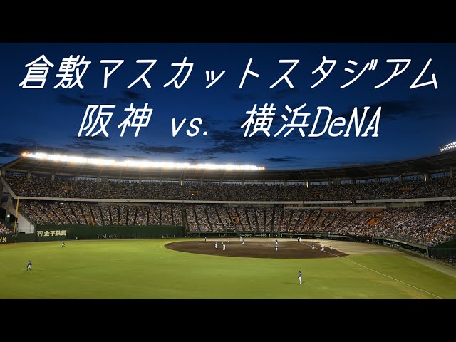 お値下げしました 阪神vs DeNA 7月11日 倉敷マスカットスタジアム 阪神 25