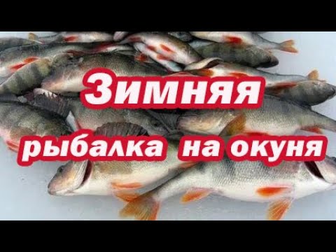 Зимняя рыбалка | Рыболовные тонкости