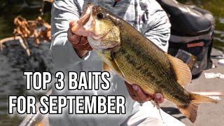 POOP BAITS - Underwater Bait Comparison! (The Fastest Growing Category In Bass  Fishing!) 