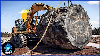 202 Amazing High-tech Mighty Heavy Machinery In The World | Best Of The Week