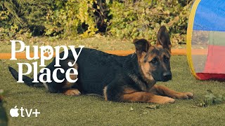 Puppy Place — Scout the German Shepherd | Apple TV+