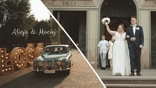 ALICJA &amp; MACIEJ | WEDDING TRAILER 2019 | ROCKO MULTIMEDIA | 4K