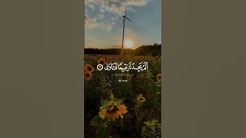 سورة الضحى 💙#حالات_دينية #حالات_واتس #حالات_واتساب #قرآن #كرومات