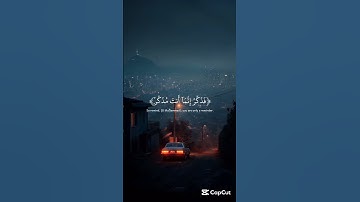افلا ينظرون الى الابل كيف خلقت | القارئ عبد الرحمن مسعد #قرآن #quran