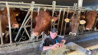 I work MYSELF on a FARM, FARM REVIEW in Switzerland, about cows for Leonid Boboshko