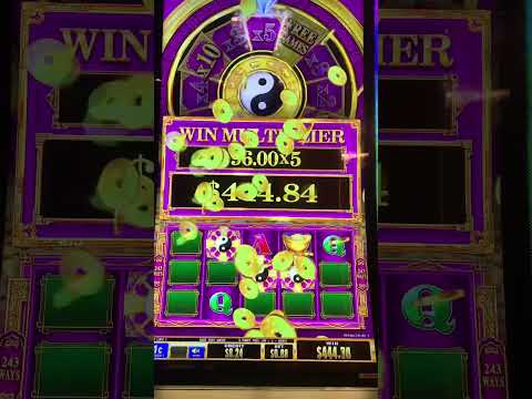 Royal X Casino Winning Tricks | Dragon vs Tiger Winning Tricks