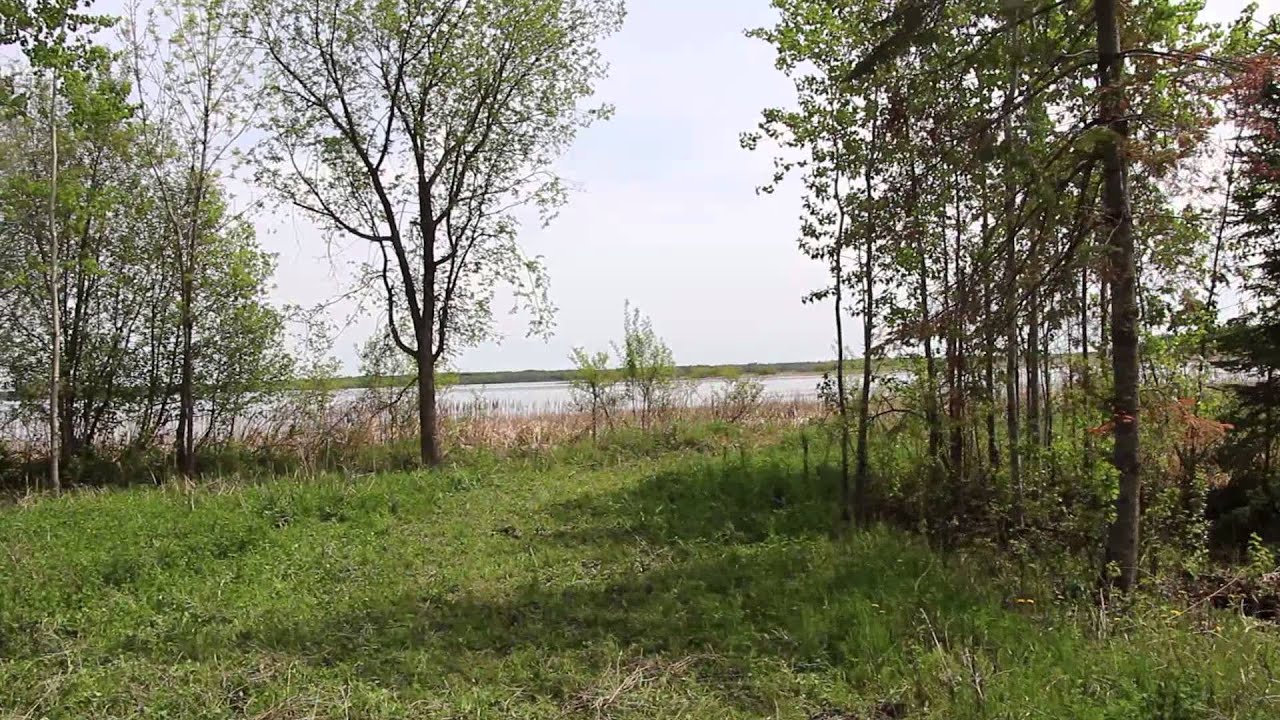 53 Wood Duck Bend YouTube