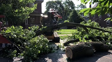 Loading a Morbark Chipper with skid steer