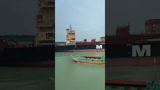 MSC company cargo ship I Sailor 360