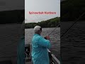Spinnerbait Northern