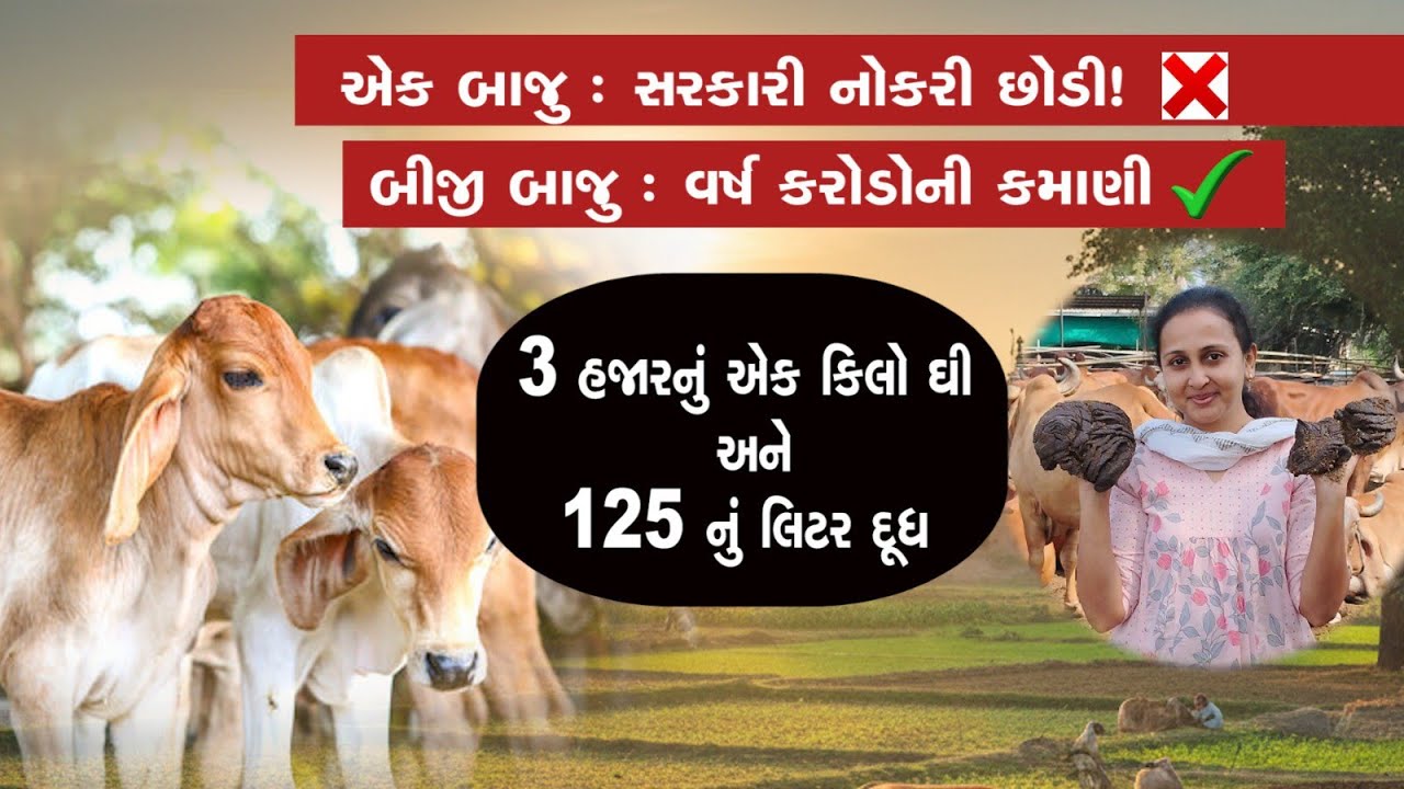 ભૂલથી પણ સરકારી નોકરી ન છોડતા! જો તમારામાં આ બહેન જેવી હિંમત ન હોય તો.